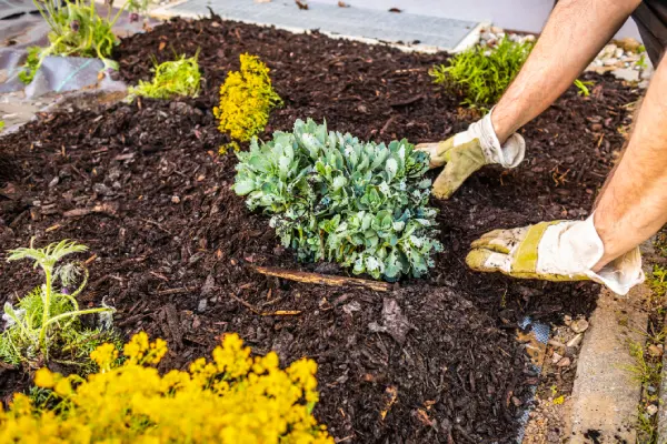 Quality Mulching in Nampa, ID