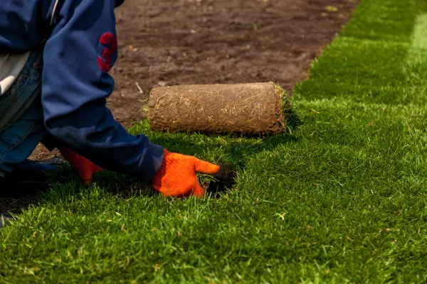 Quality Sod Installation in Nampa, ID