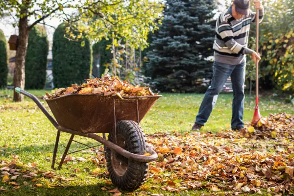 Quality Yard Cleanup in Nampa, ID