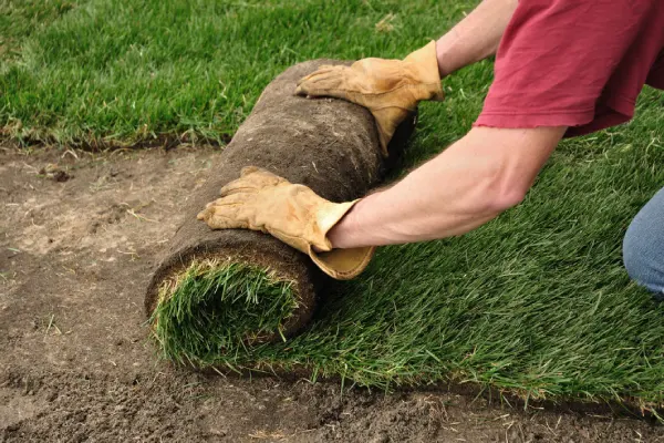 Sod Installation in Nampa, ID