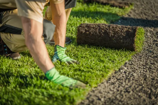 Sod Installation in Nampa, ID