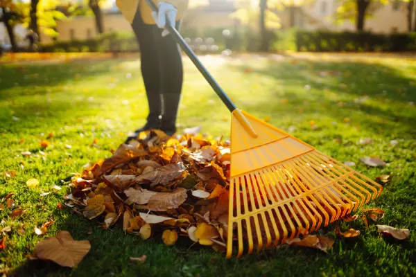 Yard Cleanup in Nampa, ID